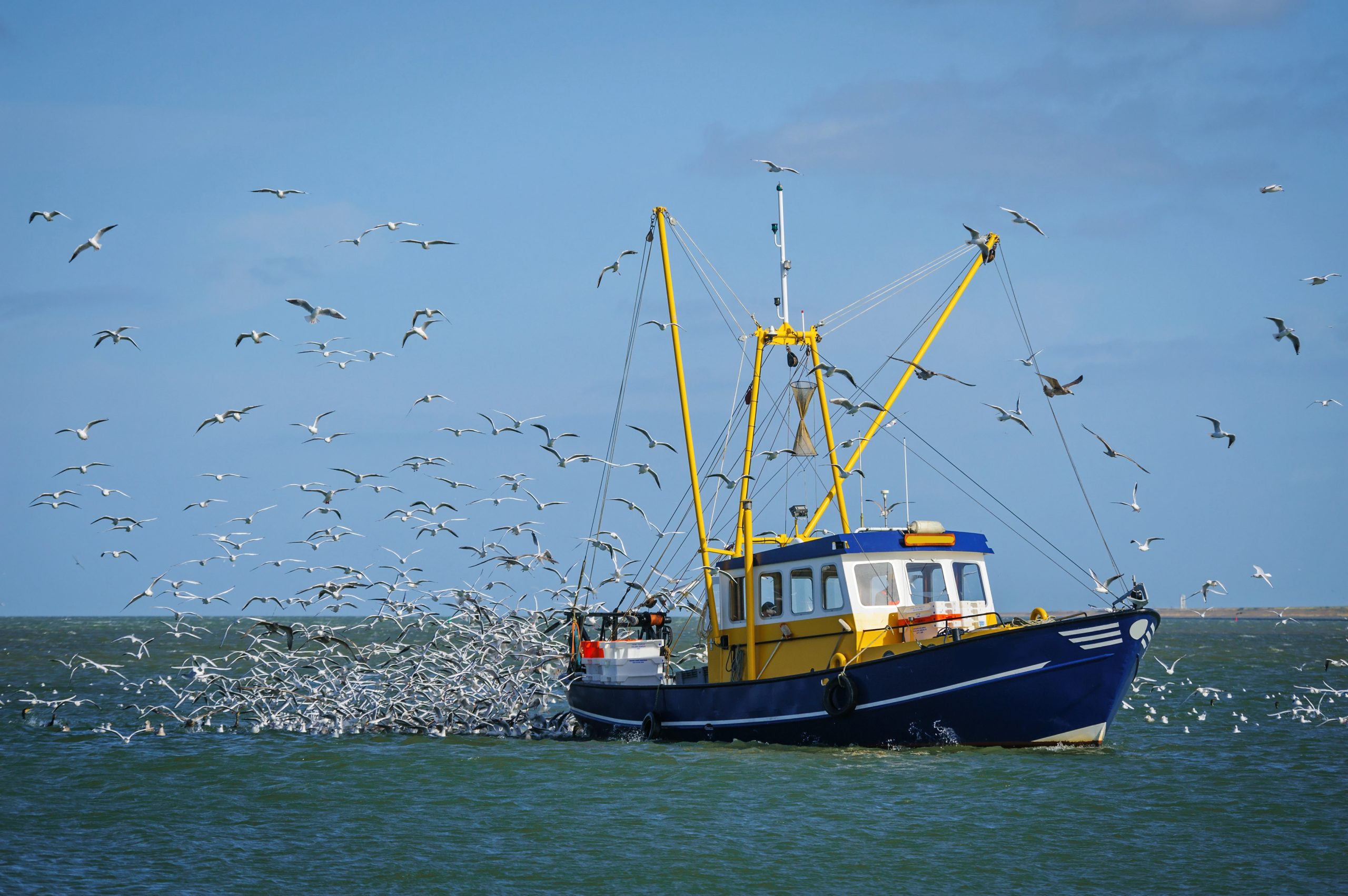 Depositphotos_59291609_XL